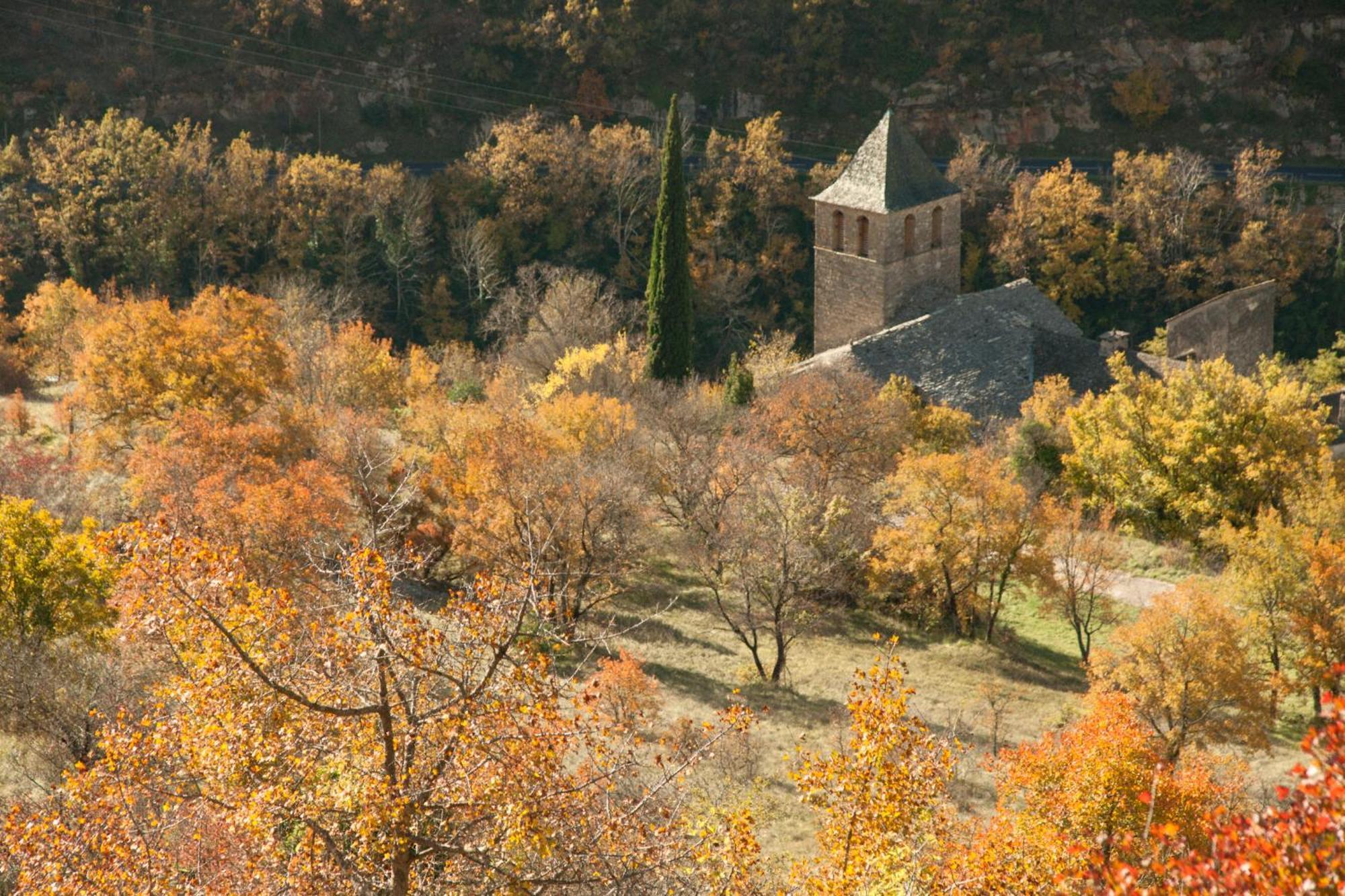 Le Colombier Saint-Veran La Roque-Sainte-Marguerite Eksteriør bilde