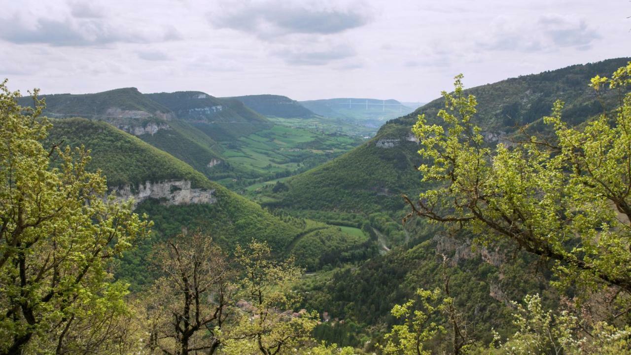 Le Colombier Saint-Veran La Roque-Sainte-Marguerite Eksteriør bilde