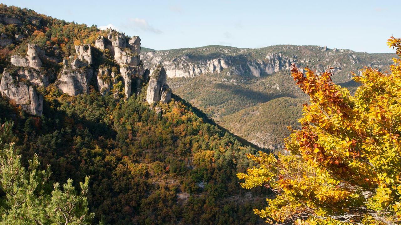 Le Colombier Saint-Veran La Roque-Sainte-Marguerite Eksteriør bilde